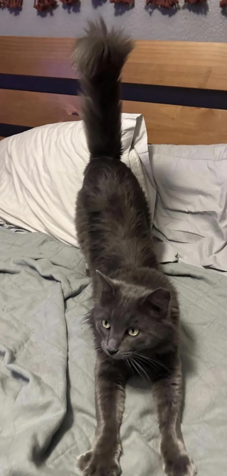 Mj Aka Mr. January thumbnail 2