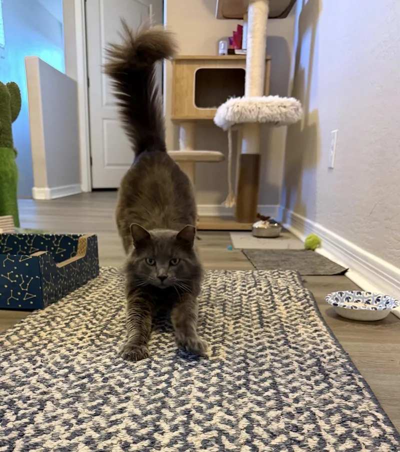 Mj Aka Mr. January thumbnail 3