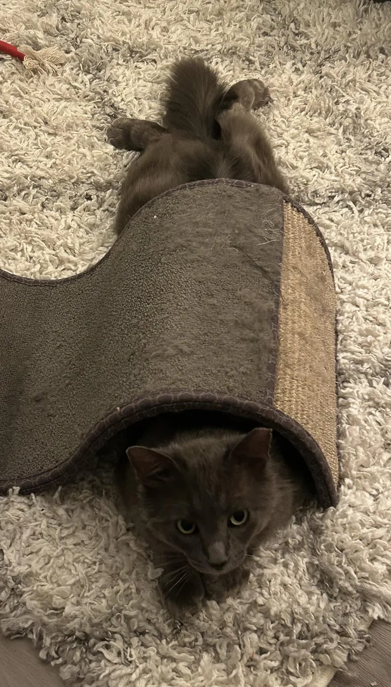 Mj Aka Mr. January thumbnail 4