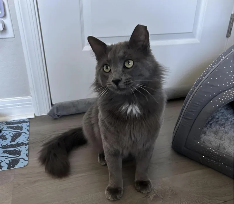 Mj Aka Mr. January thumbnail 5