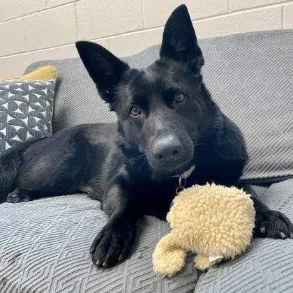 Donut Deb thumbnail 2