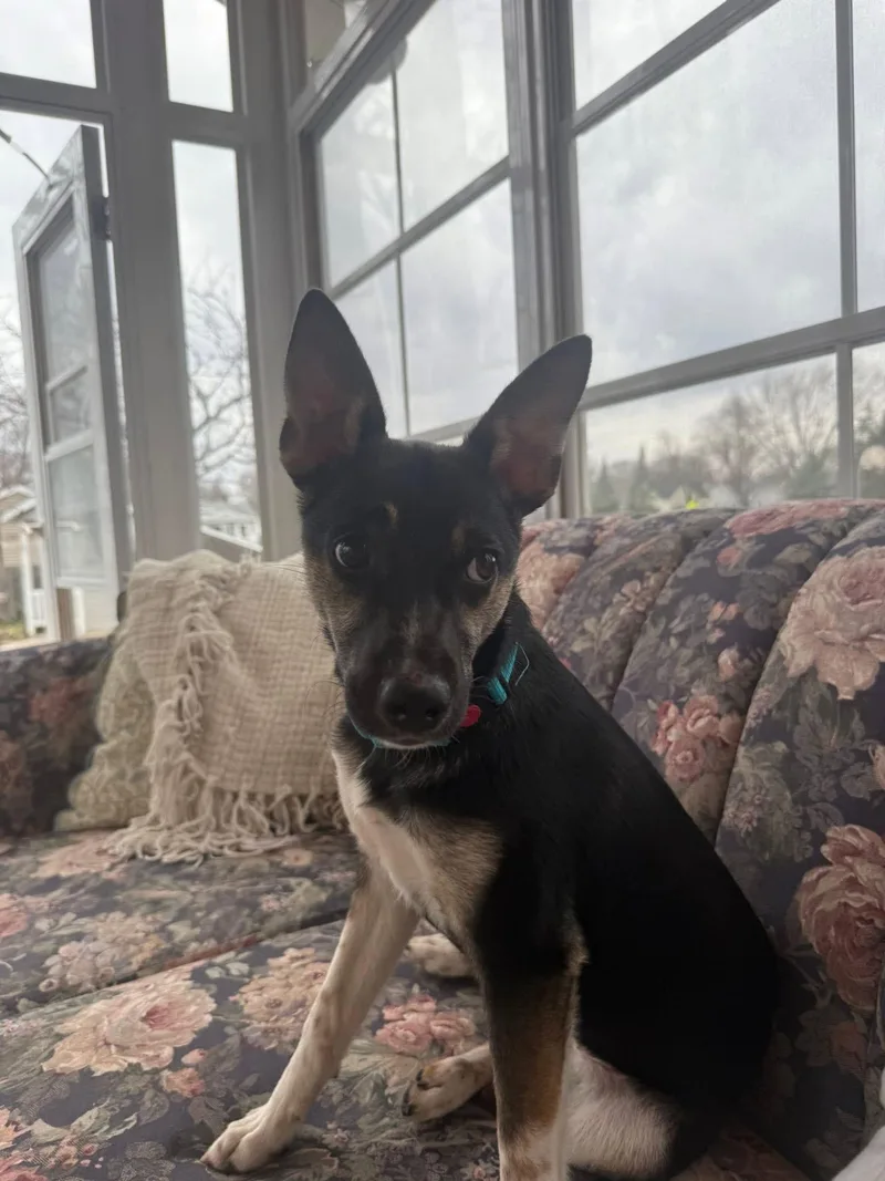 Missy