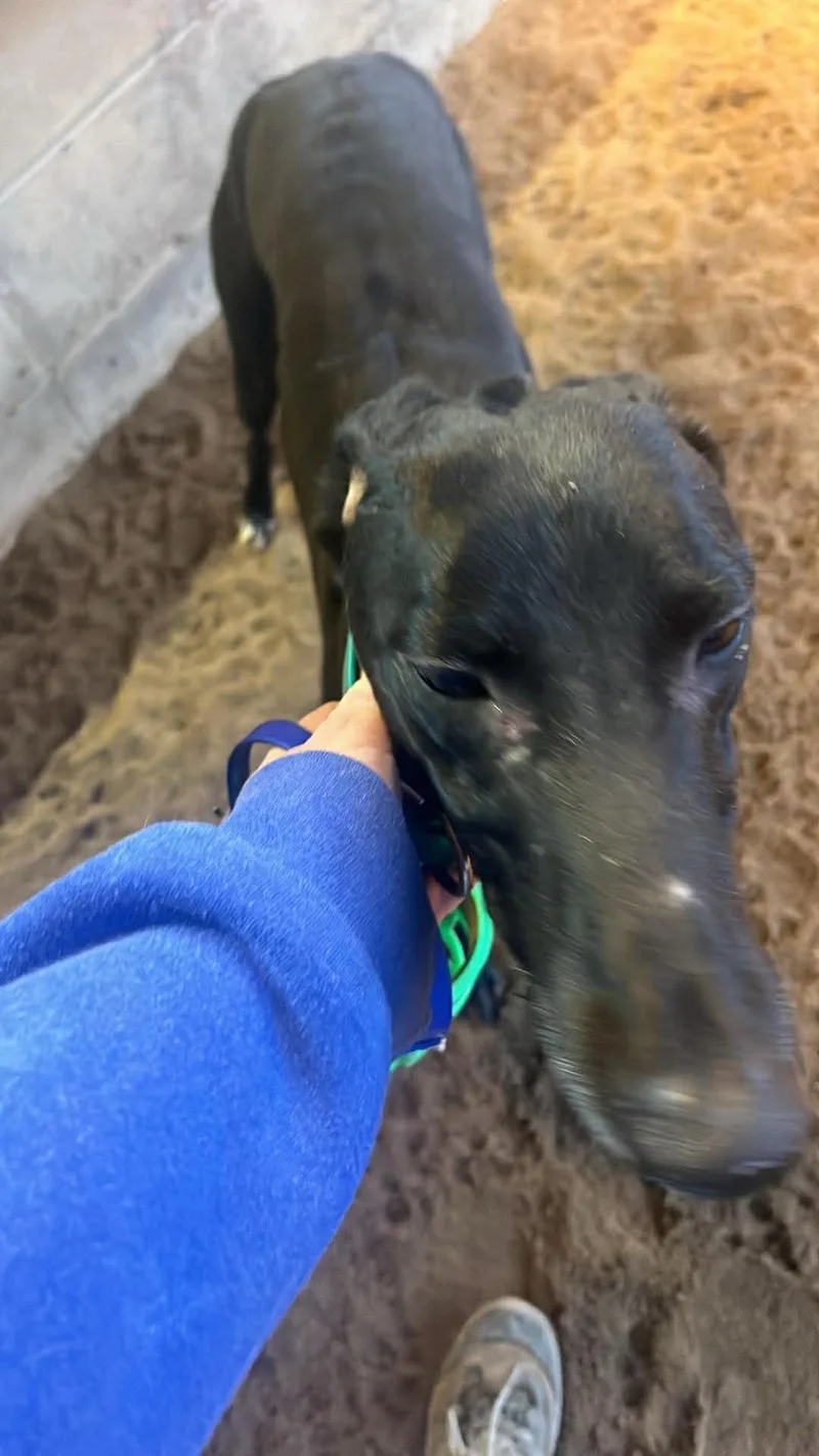 Dumb Money thumbnail 3