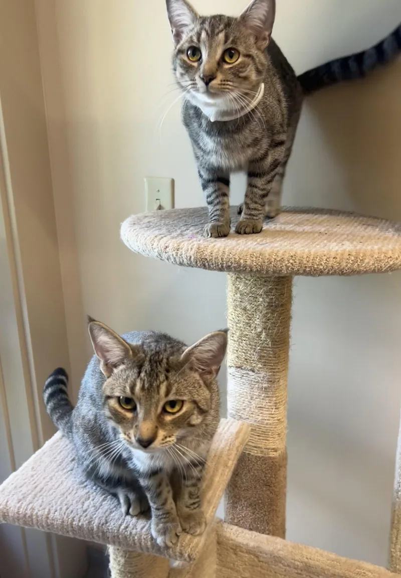 Duncan & Butters thumbnail 2