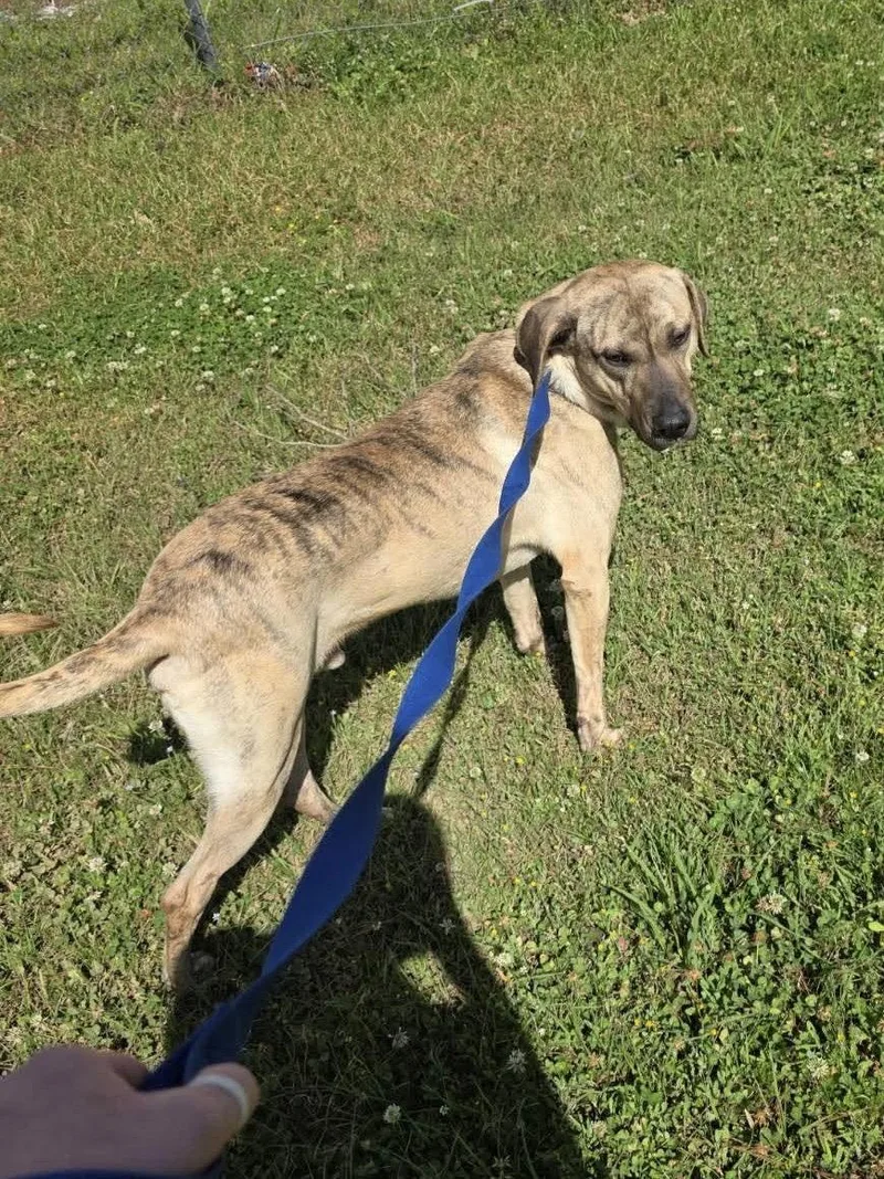 Grayson Louisiana thumbnail 2