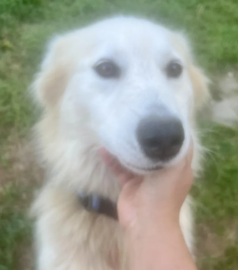 Lily! The Sweetheart! thumbnail 2