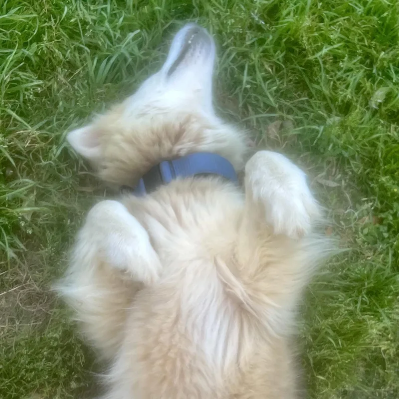 Lily! The Sweetheart! thumbnail 3