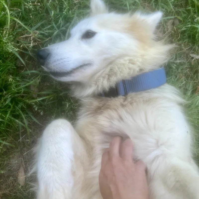 Lily! The Sweetheart! thumbnail 4