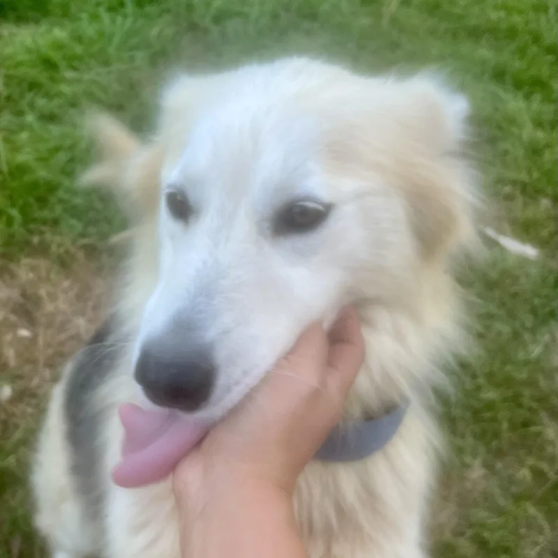 Lily! The Sweetheart!