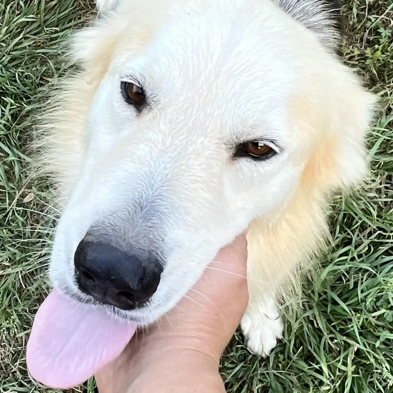 Lily! The Sweetheart! thumbnail 5