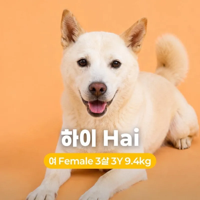 Hai HW+ thumbnail 4