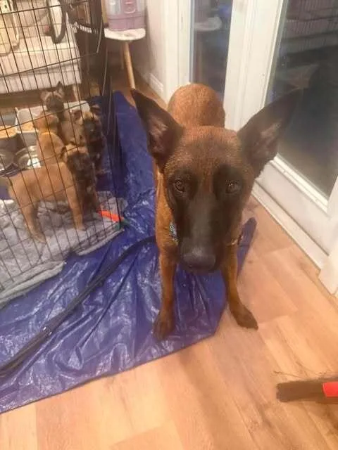 Hera  Located In thumbnail 4