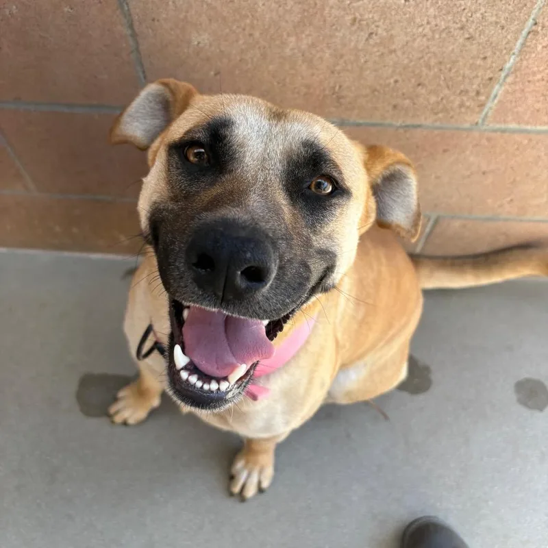 Cindy Lou thumbnail 2