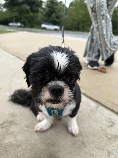 Max