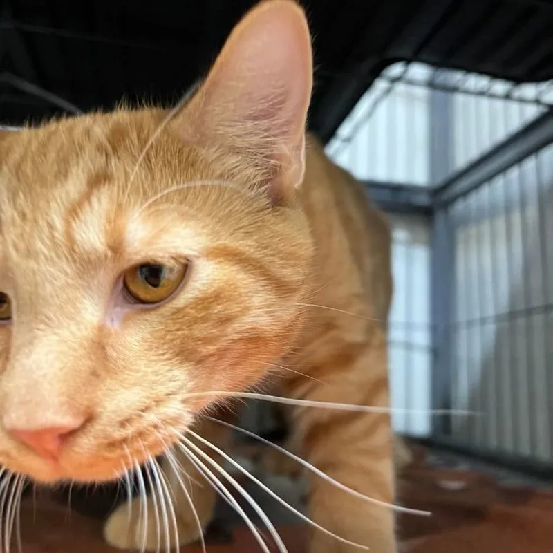 Robin  Best Friends thumbnail 3