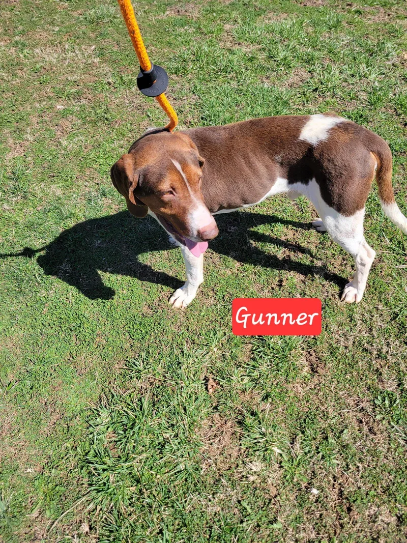 Gunner