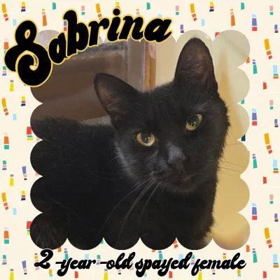 Sabrina