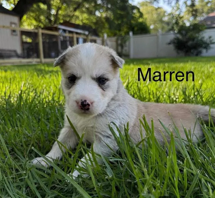 Marren thumbnail 3