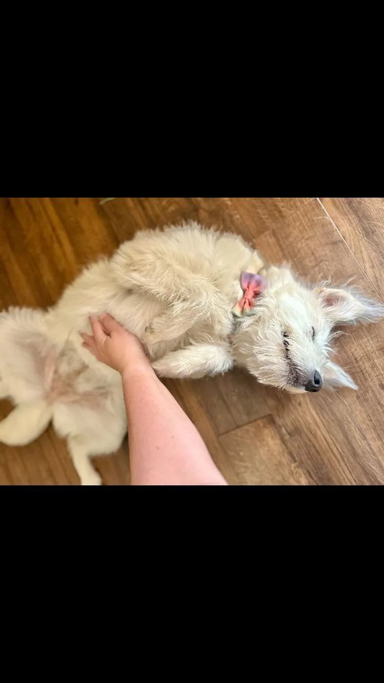 Chloe thumbnail 3
