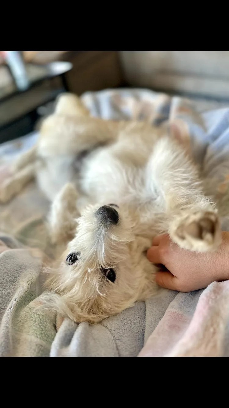 Chloe thumbnail 4