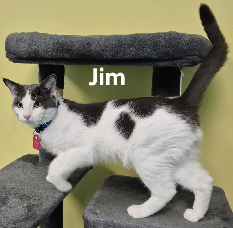 Jim