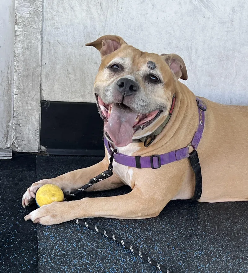Jada thumbnail 4