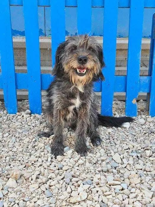 Mitsy Bitsy thumbnail 2