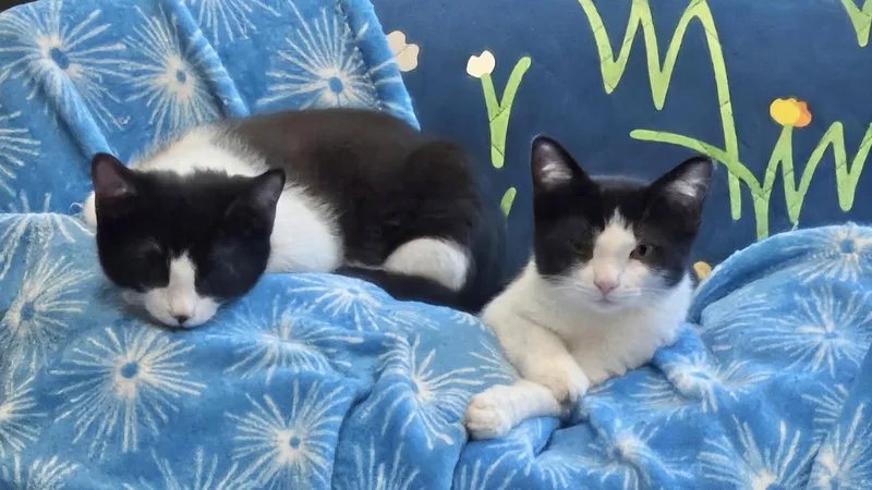 Tara & Teddy thumbnail 2