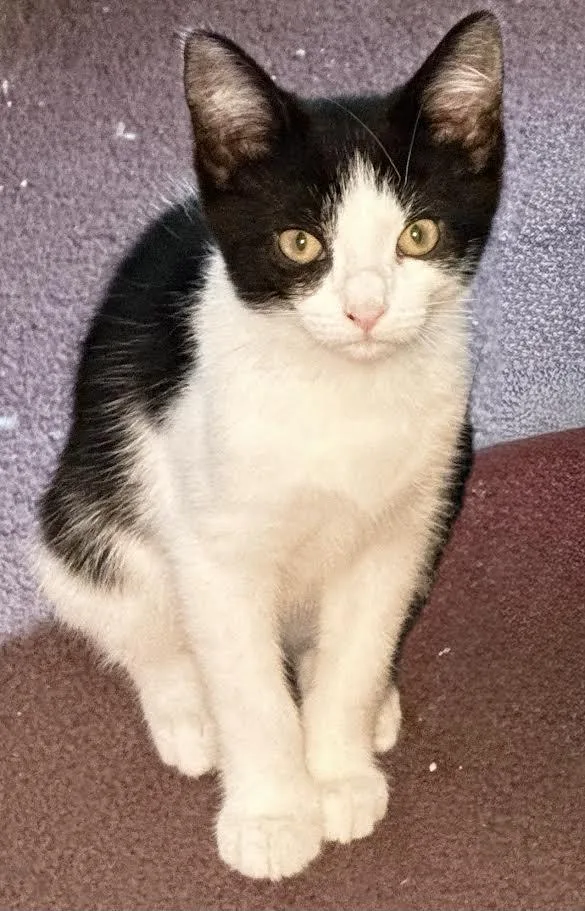 Tara & Teddy thumbnail 3