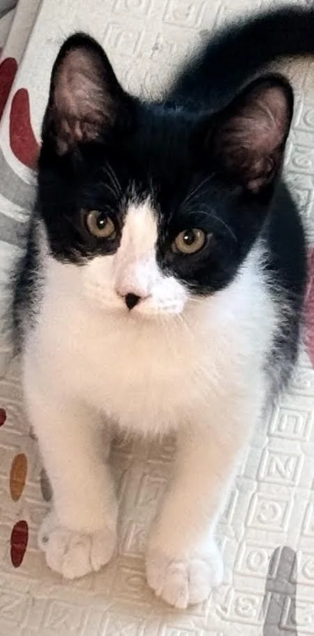 Tara & Teddy thumbnail 4