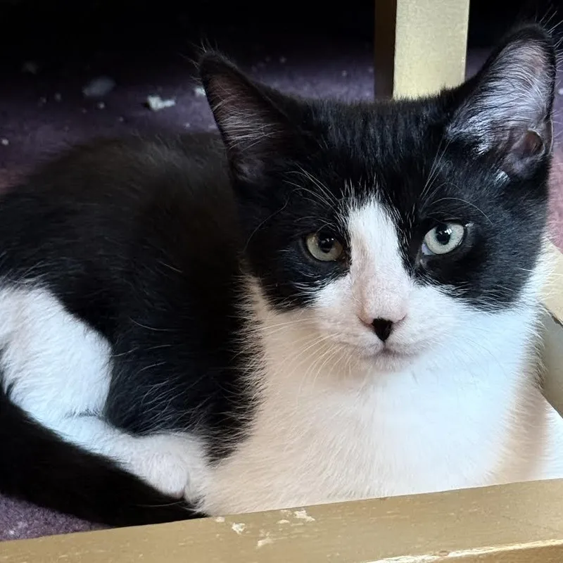 Tara & Teddy thumbnail 6