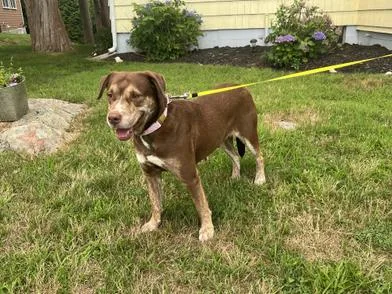 Lady thumbnail 4