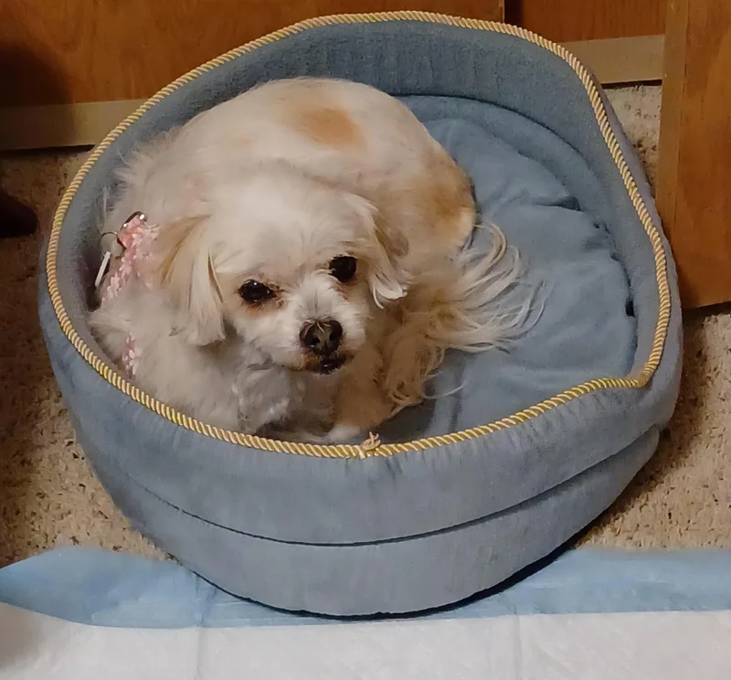 Maggie thumbnail 2