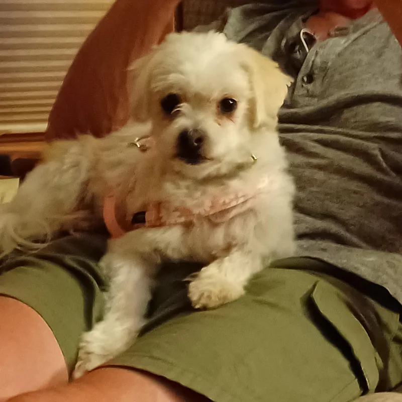 Maggie thumbnail 3