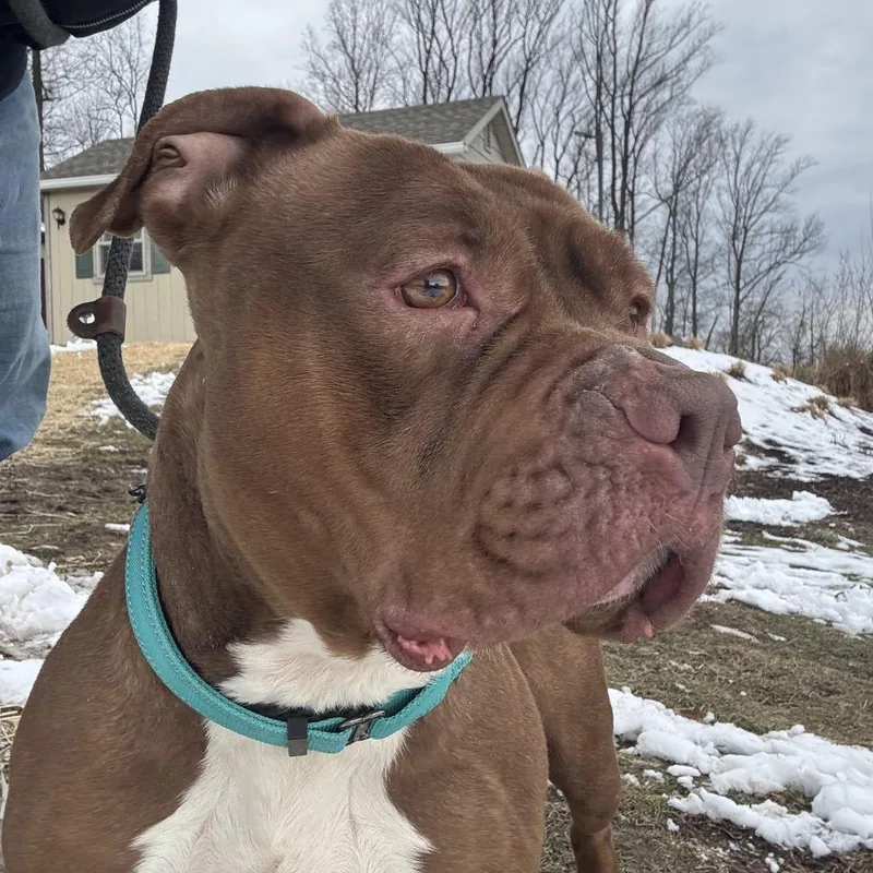 Shrimpina thumbnail 4