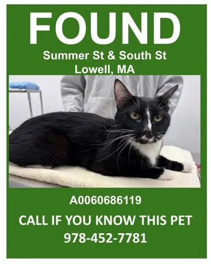 Mary Anning thumbnail 2