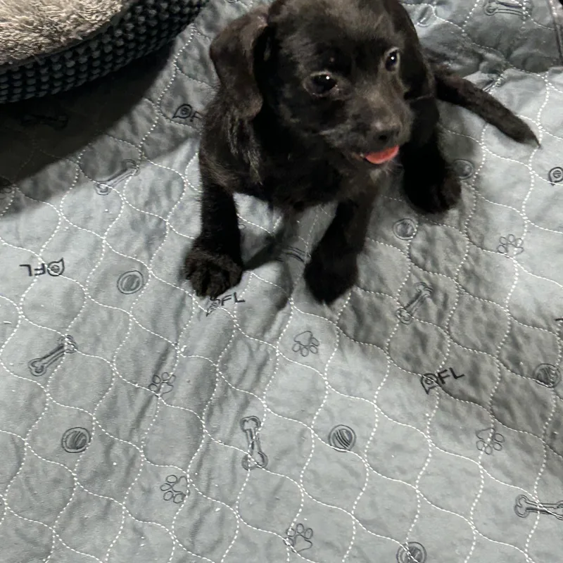 Oh Geez . Lbs. thumbnail 2