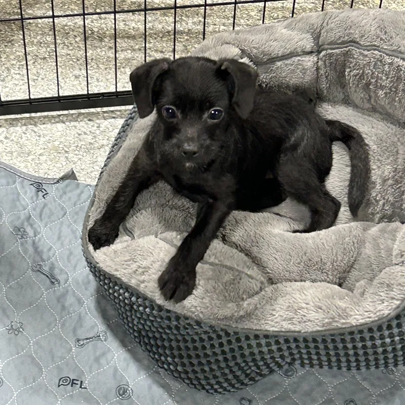 Oh Geez . Lbs. thumbnail 3