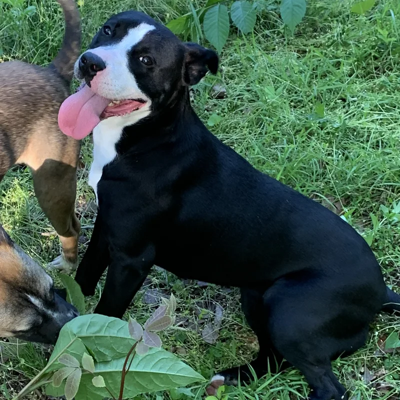 Jennifer thumbnail 2