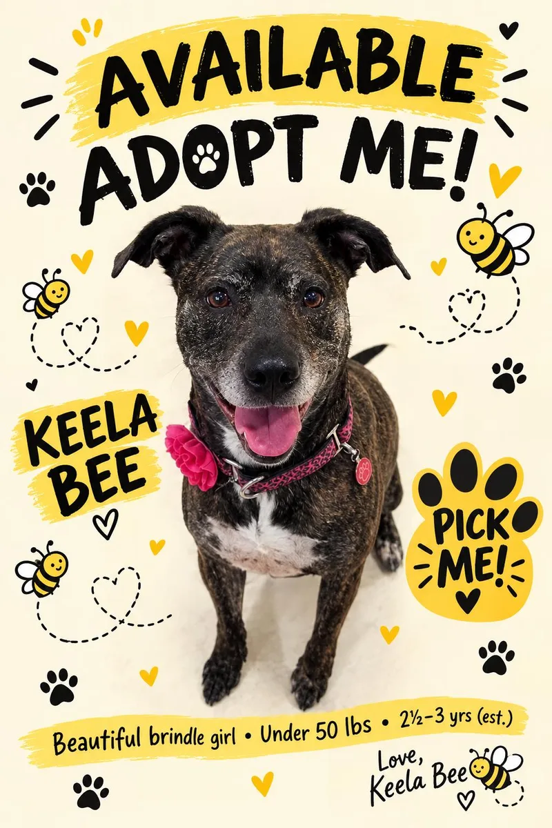 Keela Bee thumbnail 6