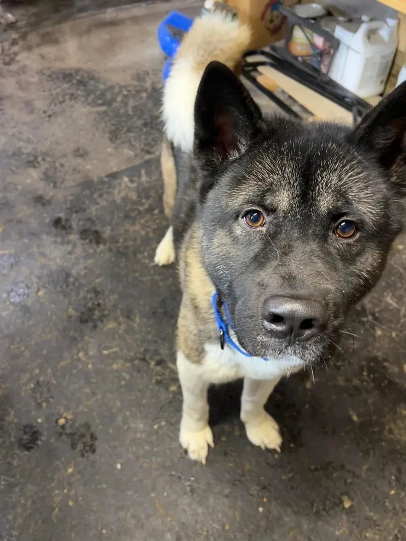 Taz And Sasha thumbnail 3