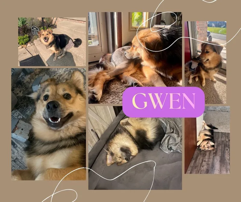 Gwen thumbnail 4