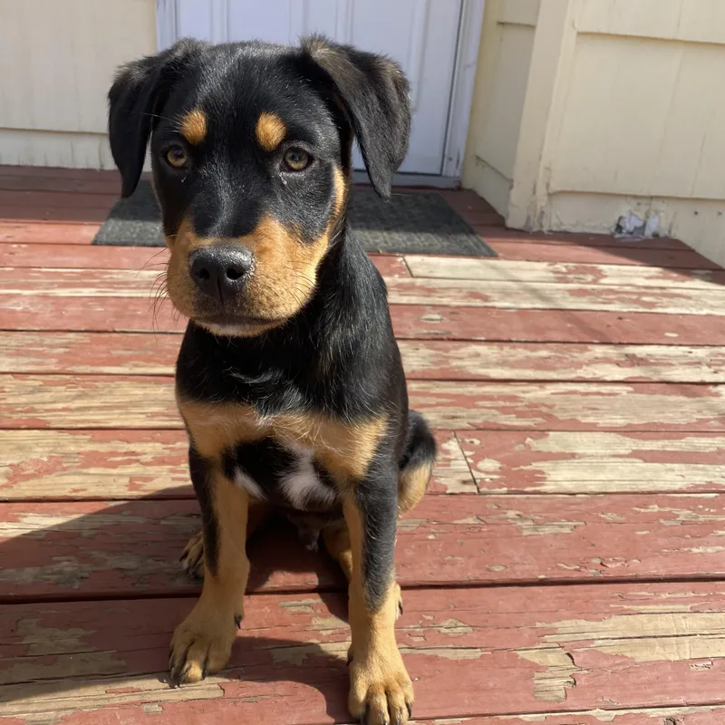 Mick Jager thumbnail 2