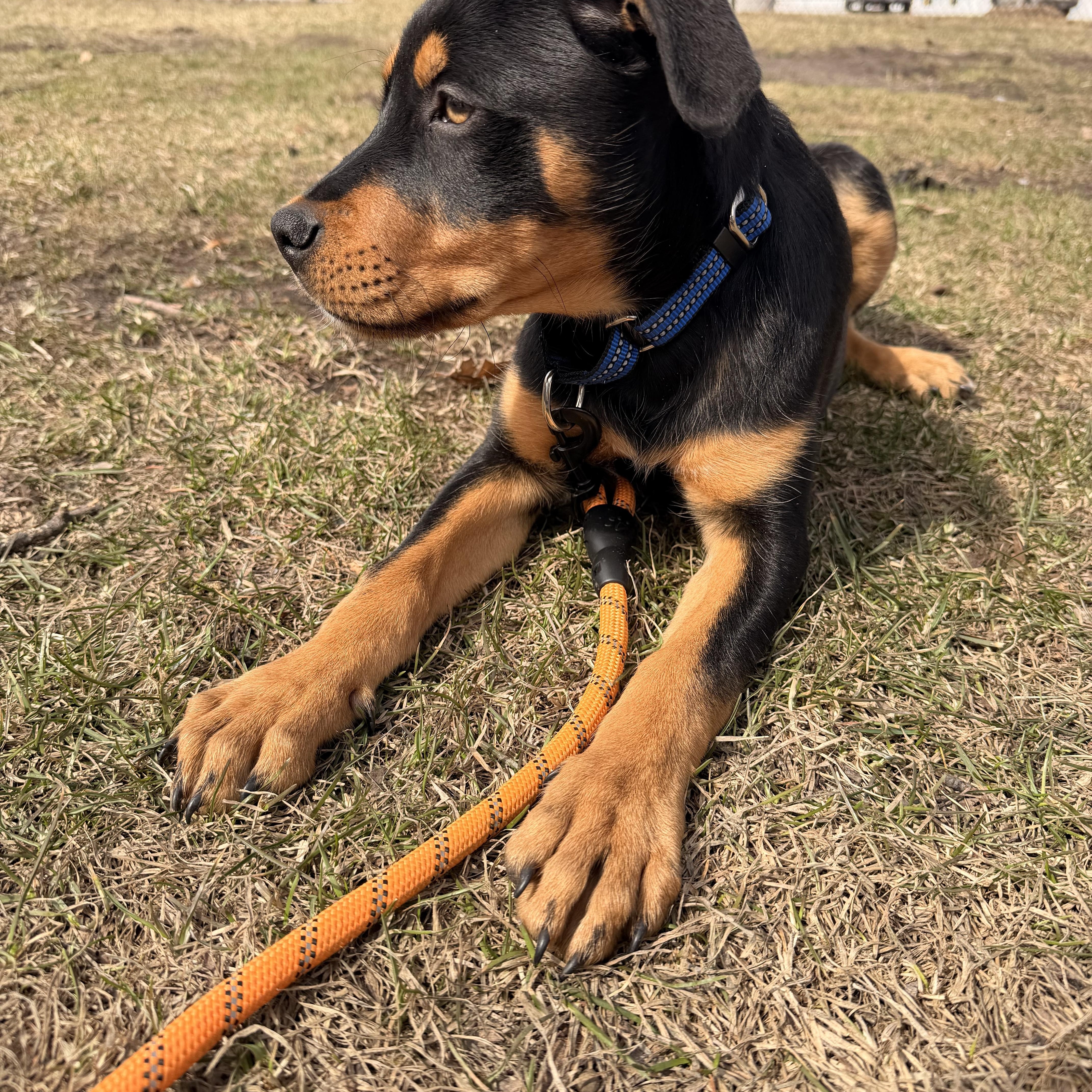 Mick Jager thumbnail 3