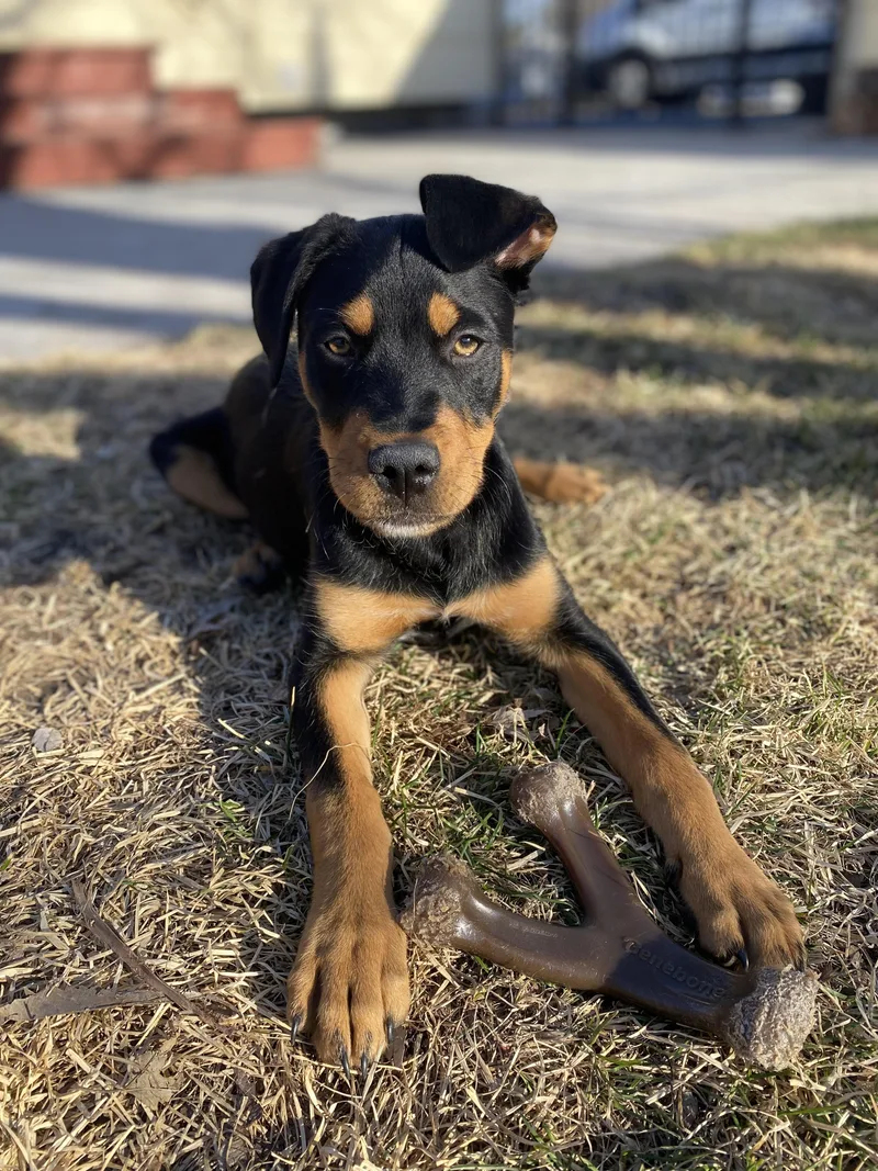 Mick Jager thumbnail 5