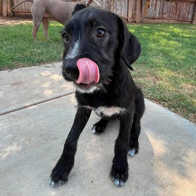 Zoey