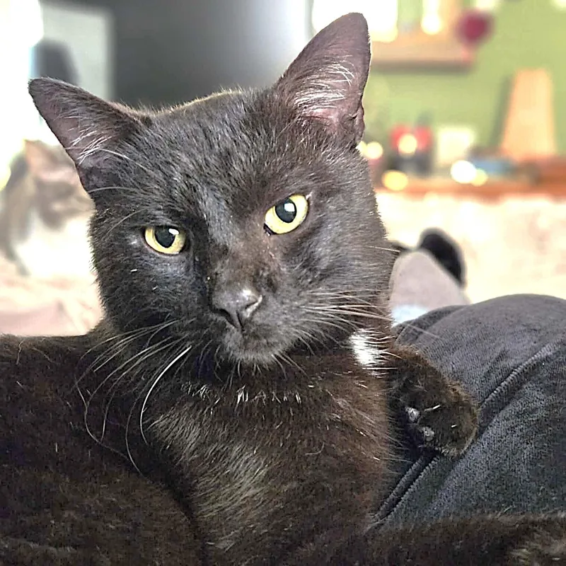 Eddie thumbnail 3