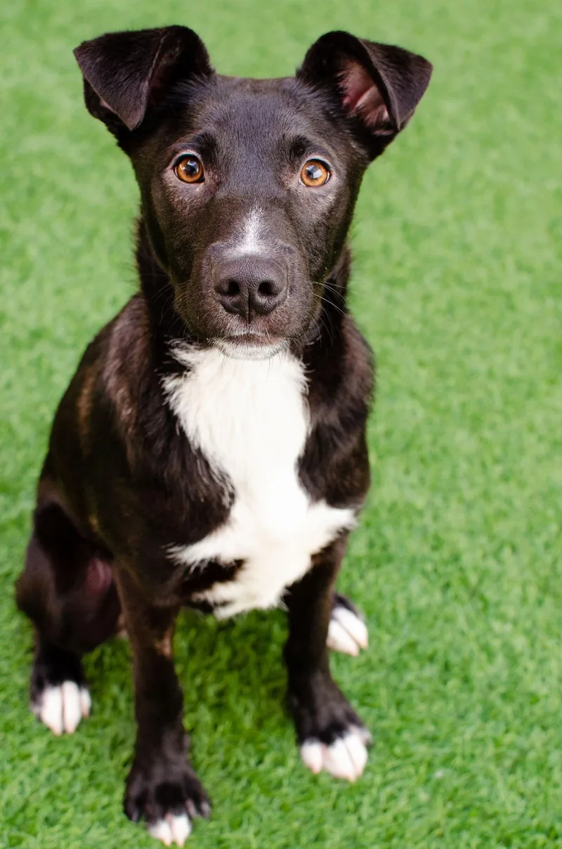 Hennessy thumbnail 2