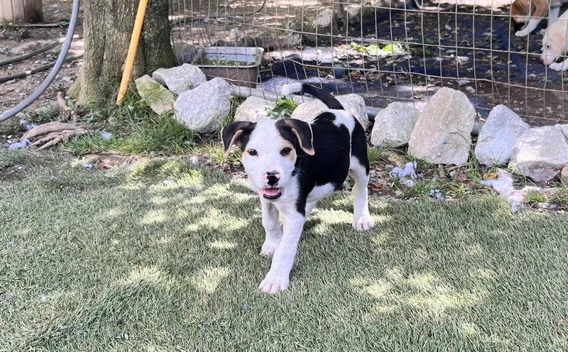 Otis Outstanding thumbnail 3