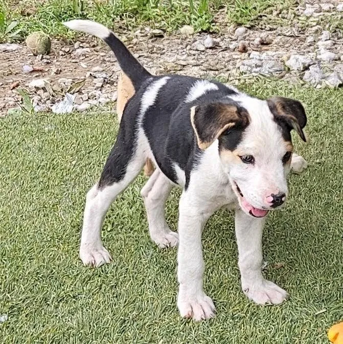 Otis Outstanding thumbnail 5